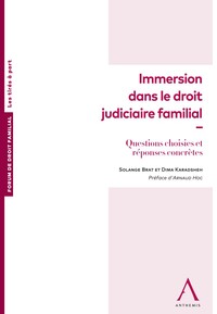 Immersion dans le droit judiciaire familial